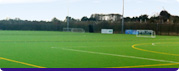 Astro Turf