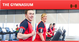 THE GYMNASIUM